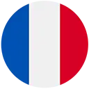 Icon French flag
